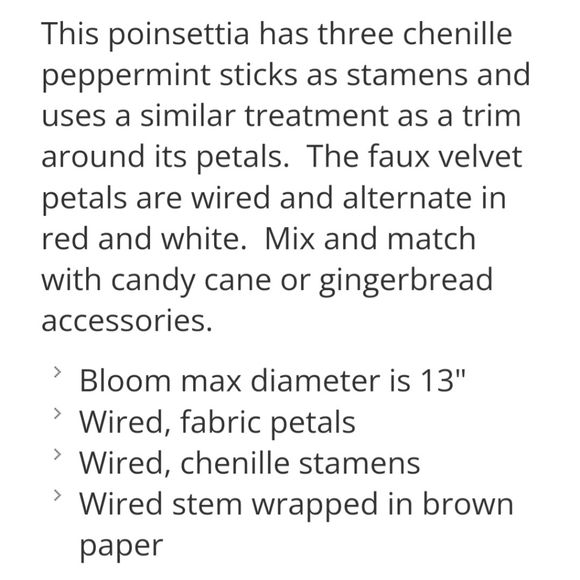 Peppermint Poinsettia - Picture 4 of 4